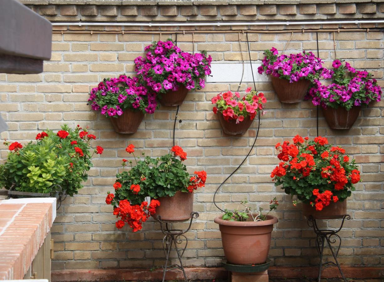 Ferienwohnung Murano Garden House Exterior foto